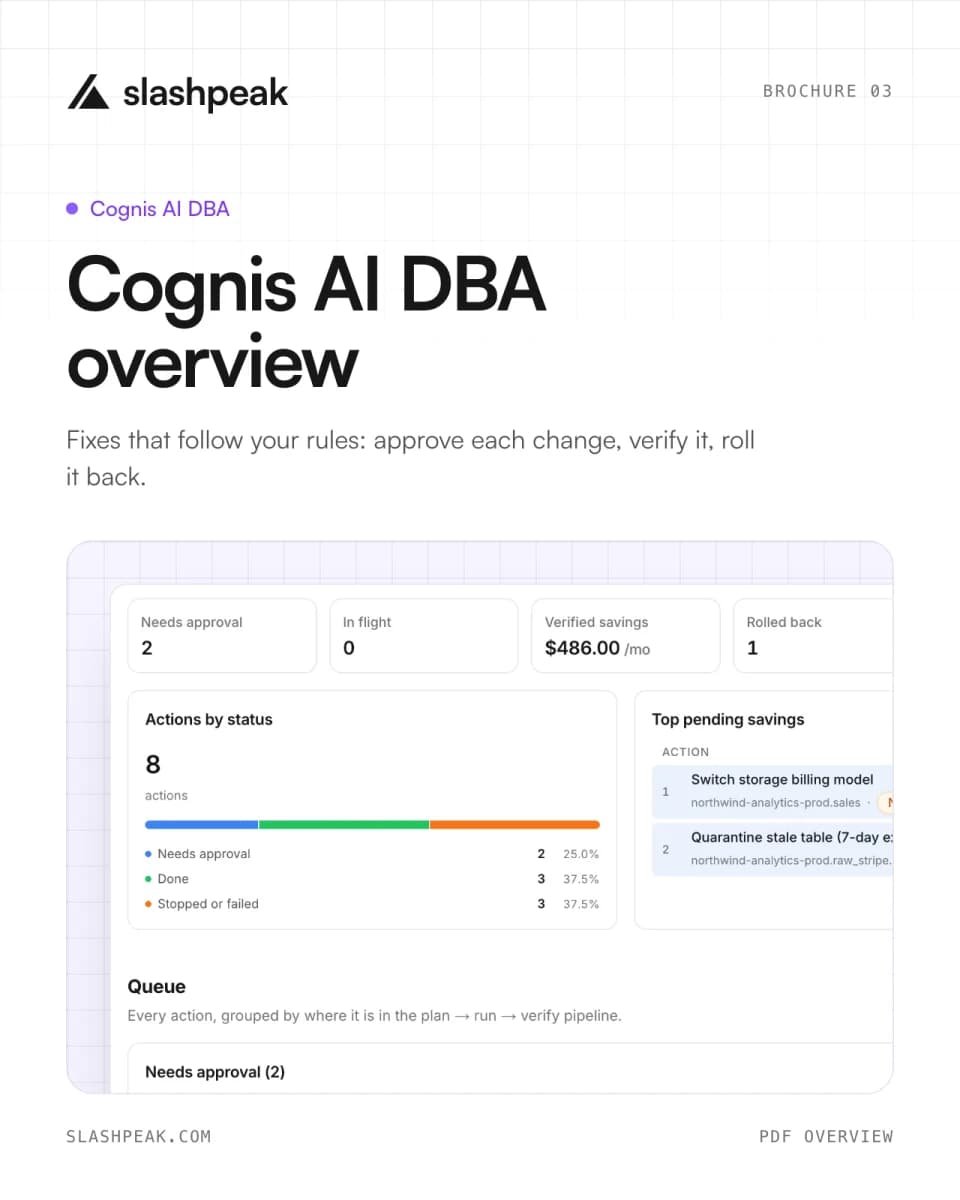 Cognis AI DBA overview brochure cover